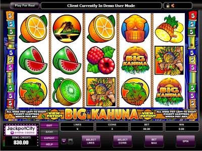 Big Kahuna Slots Online